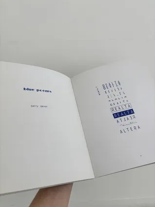 Pubblication Books as art