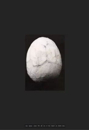 Polluted Egg, 1973