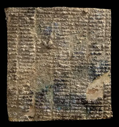 Small white, 1986