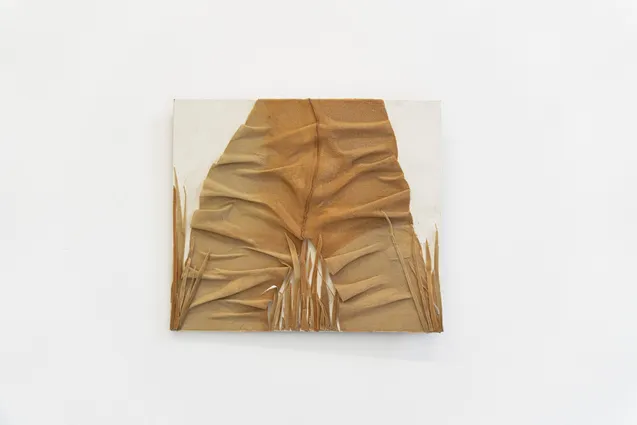 In the grass, 2015