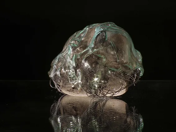 Stones, 2009