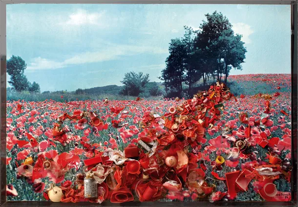 Ecological view n. 4 ( Red view), 1974