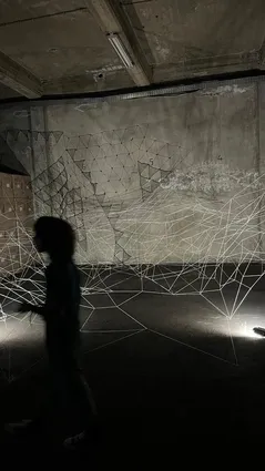 Butterfly Effect Exhibition Maria Jole Serreli, Franca Sonnino