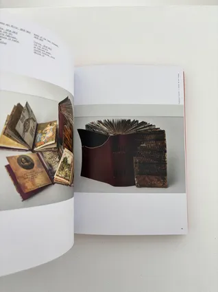 Pubblication Francesca Cataldi, Carnet de mon voyage