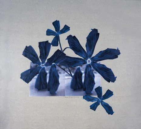 Burka flowers, 2002