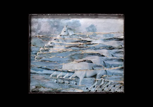 Cavallone, 1974