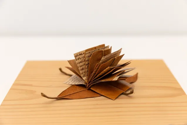 Leaf book, 1980-1982