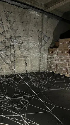 Butterfly Effect Exhibition Maria Jole Serreli, Franca Sonnino