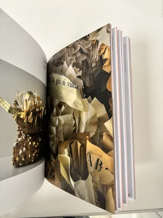 Pubblication Books as art