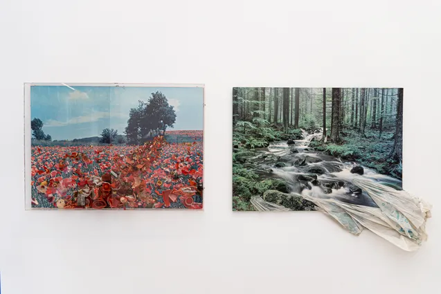 Opening Anna Esposito What I've done