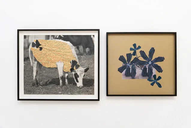Anna Esposito What I've done Installation View