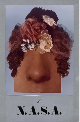 La N.A.S.A., 1973(naso = nose)