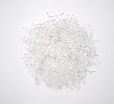 White thorns, 2022