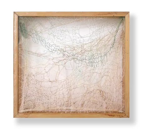 Overlapping nets, 1976