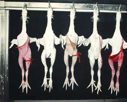 Alla ribalta 2, 1982