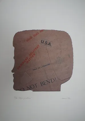Negro Problem, 1973