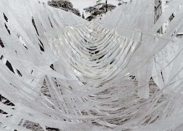 Le onde del quadrato, 1980-2023