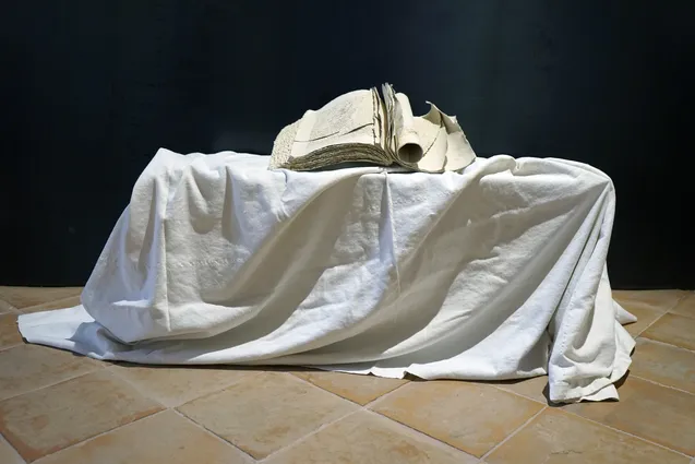 Transfigurations Canvases of the future