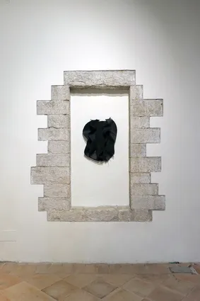 Transfigurations Canvases of the future