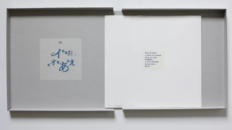 A Nomadic Book, 2023