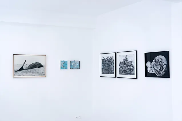 Gramma Epsilon Exhibition Anna Esposito Futuranna lq7