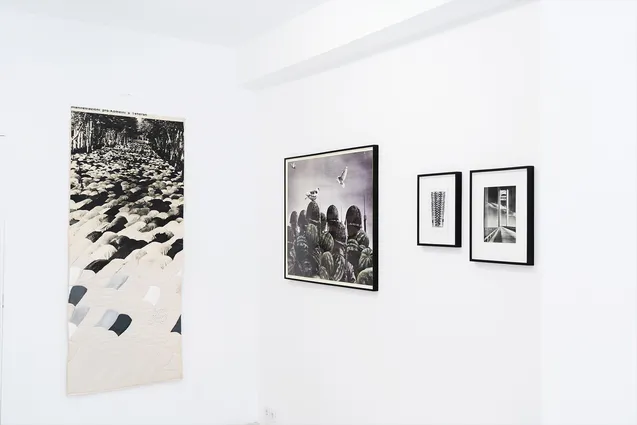 Gramma Epsilon Exhibition Anna Esposito Futuranna lq21