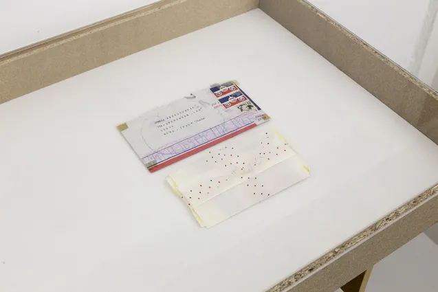 Amelia Etlinger From Can Do to Must Do Installation Views Prosopopoeia Vienna