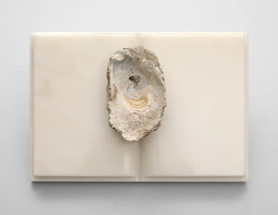 Fossil book, 2011