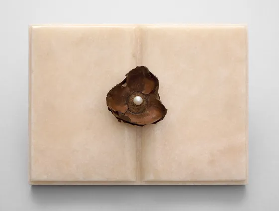 Libro per (la) Natura (Book for Nature), 1985(perla = pearl)