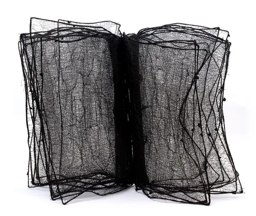 Big Black Book, 2000