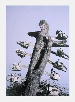 San Sebastian, 1992/2022