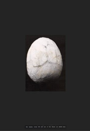 <em>Polluted Egg</em>, 1973