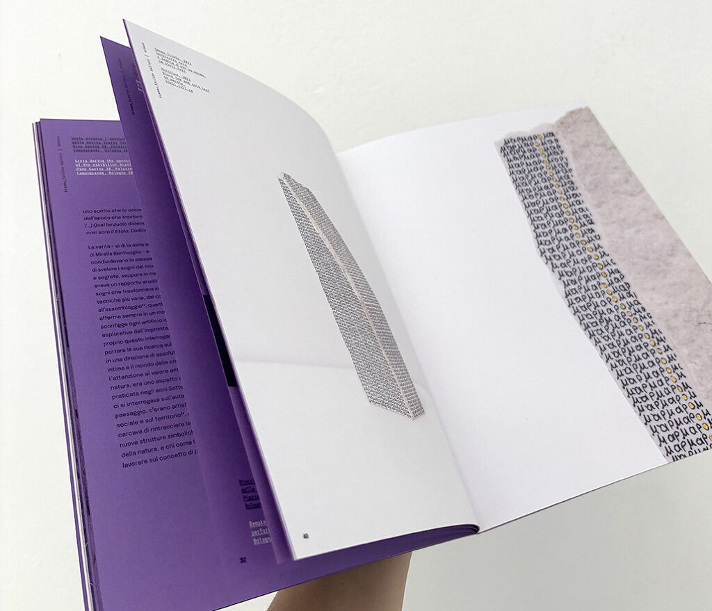 Copertina_catalogo_della_mostra_Warp_of_light_di_Greta_Schodl